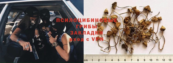 гашиш Аркадак