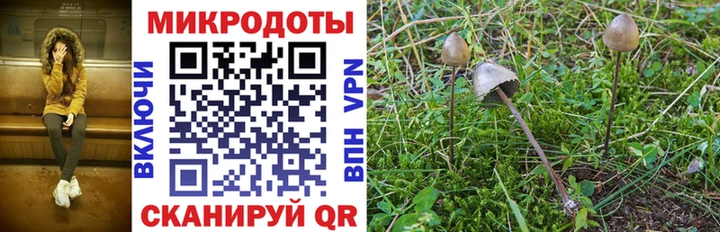 Псилоцибиновые грибы GOLDEN TEACHER Жуков