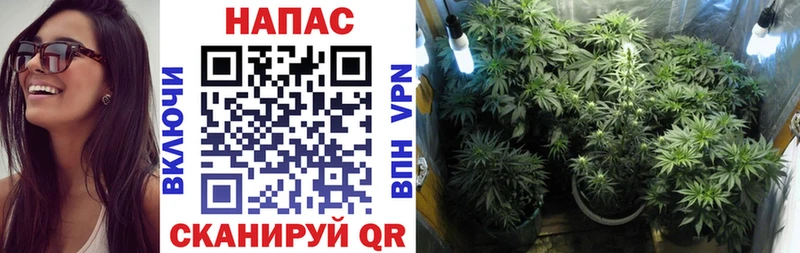 Бошки марихуана индика  где купить   Жуков 